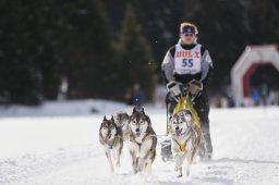 Lenzerheide 2013